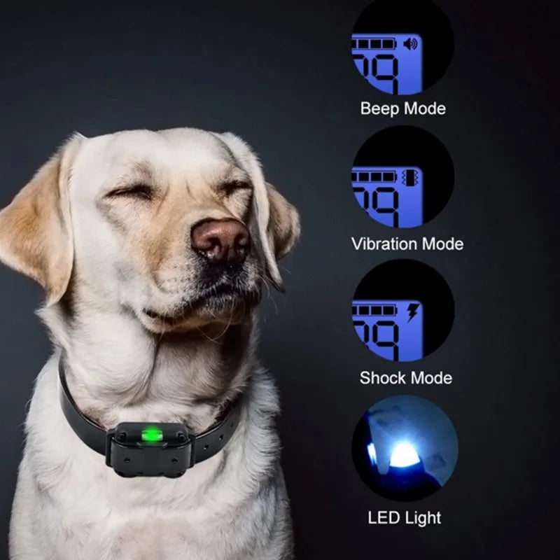 Train your dog with ease and convenience!