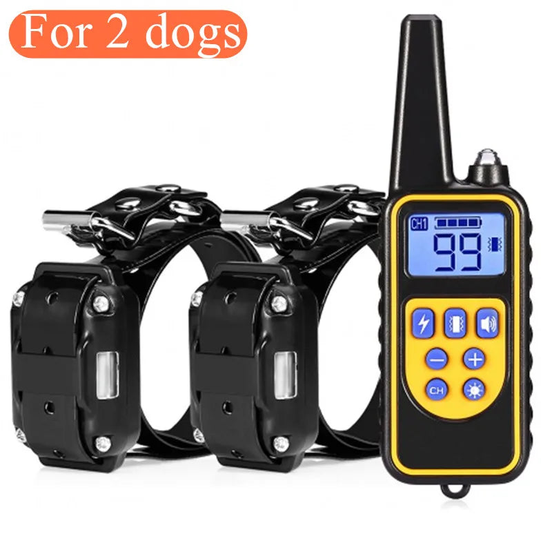 Train your dog with ease and convenience!