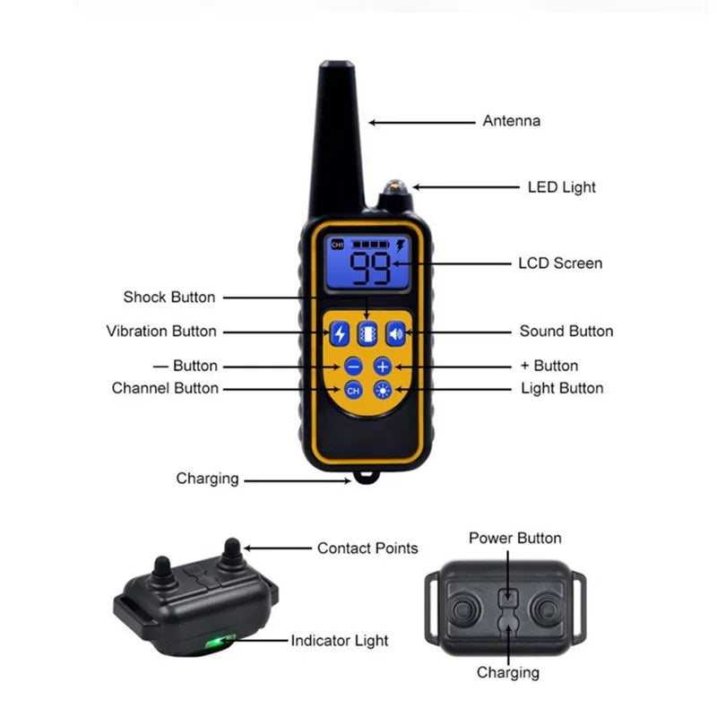 Train your dog with ease and convenience!