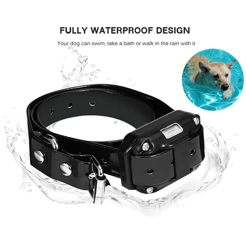 Train your dog with ease and convenience!
