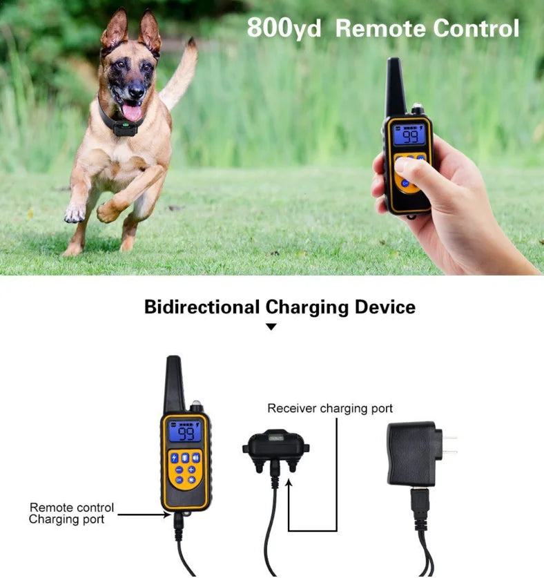Train your dog with ease and convenience!