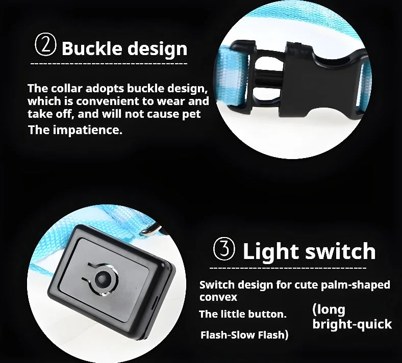 GlowCollar® – LED Nylon Dog Collar - Vista 7 del producto