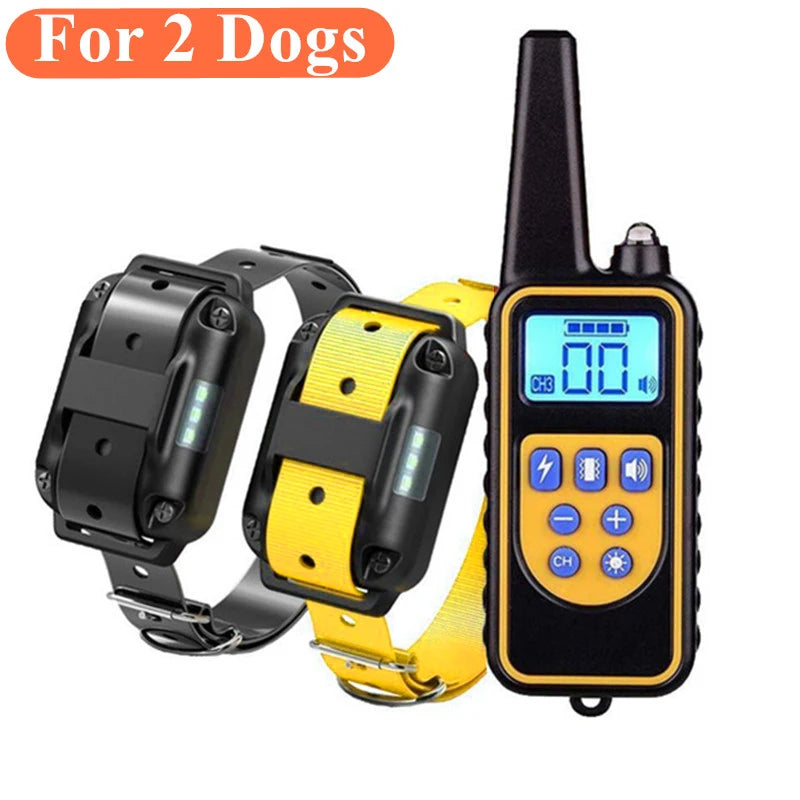 Train your dog with ease and convenience!