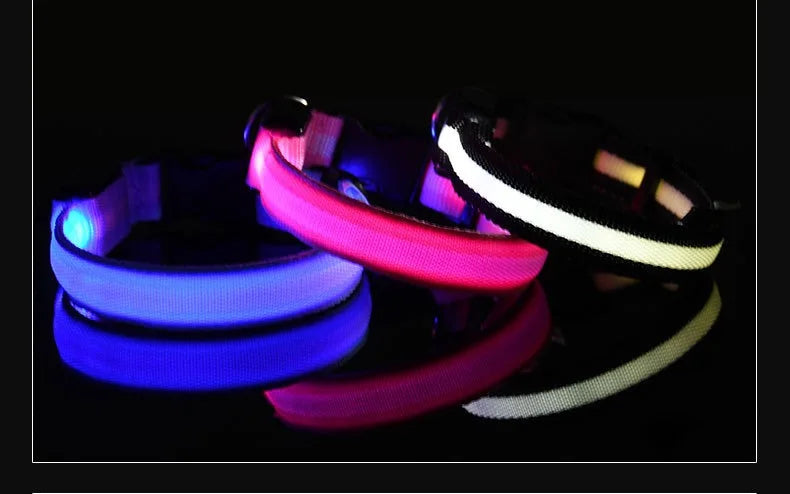 GlowCollar® – LED Nylon Dog Collar - Vista 14 del producto