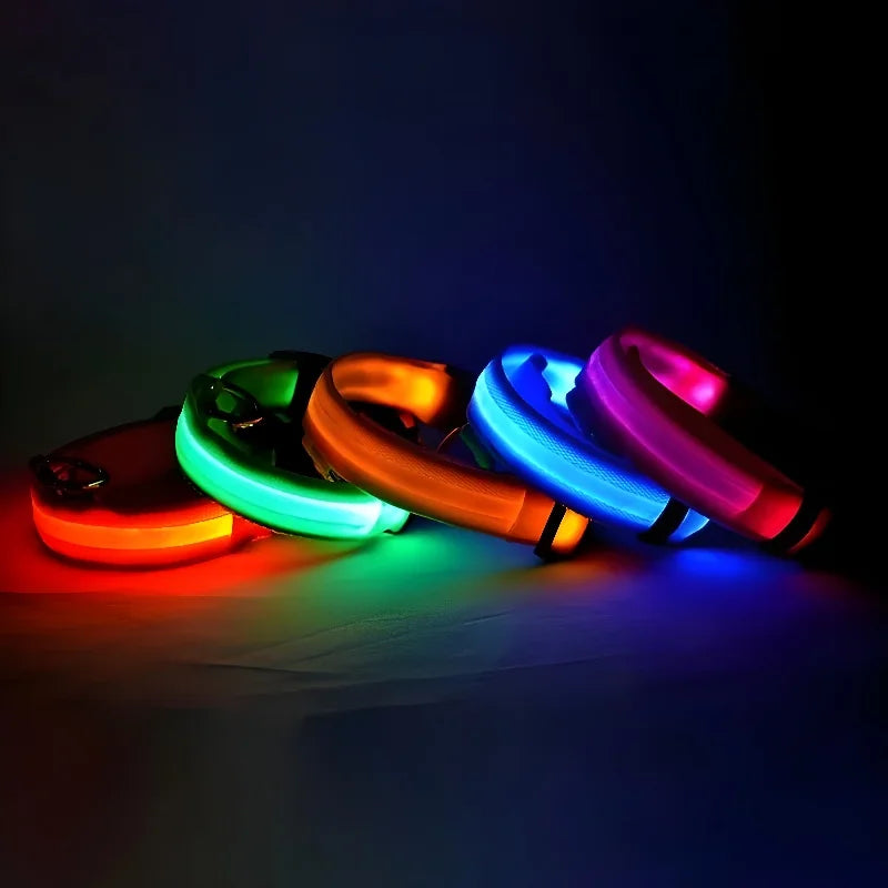 GlowCollar® – LED Nylon Dog Collar - Vista 3 del producto