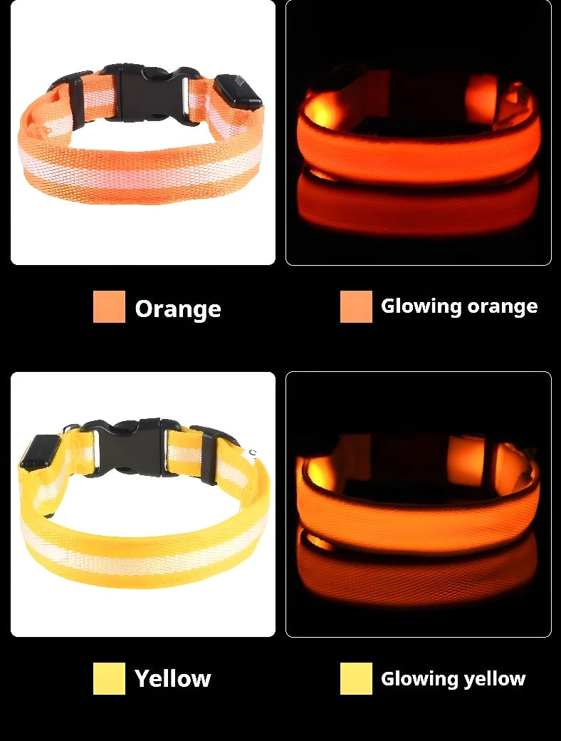 GlowCollar® – LED Nylon Dog Collar - Vista 9 del producto