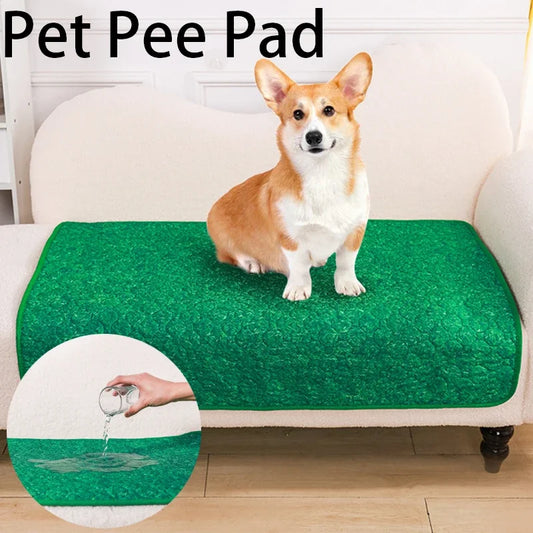 DryPaws® – Washable Absorbent Dog Pee Pad - Vista principal del producto