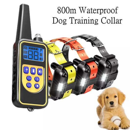 Train your dog with ease and convenience!