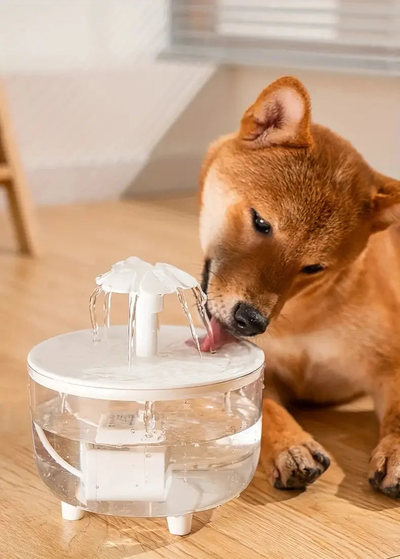 HydroPet® – Pet Water Fountain - Vista 14 del producto