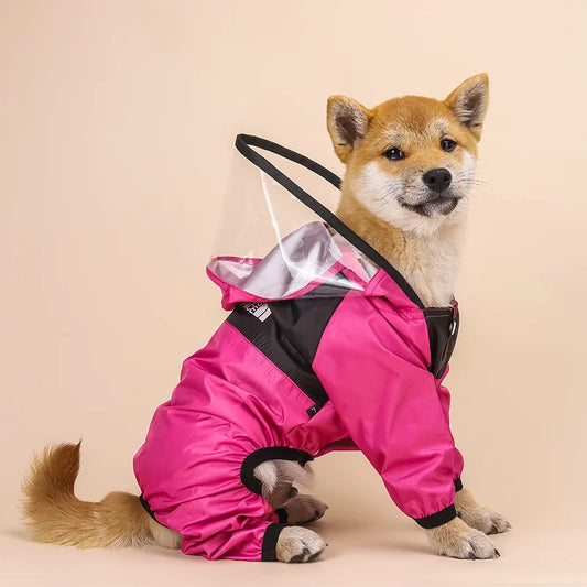 RainPaws® – Transparent Hooded Pet Raincoat - Vista principal del producto