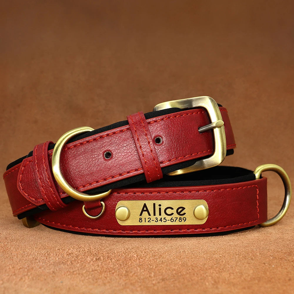 PawTag® – Personalized Leather Collar (Free Engraving) - Vista 10 del producto