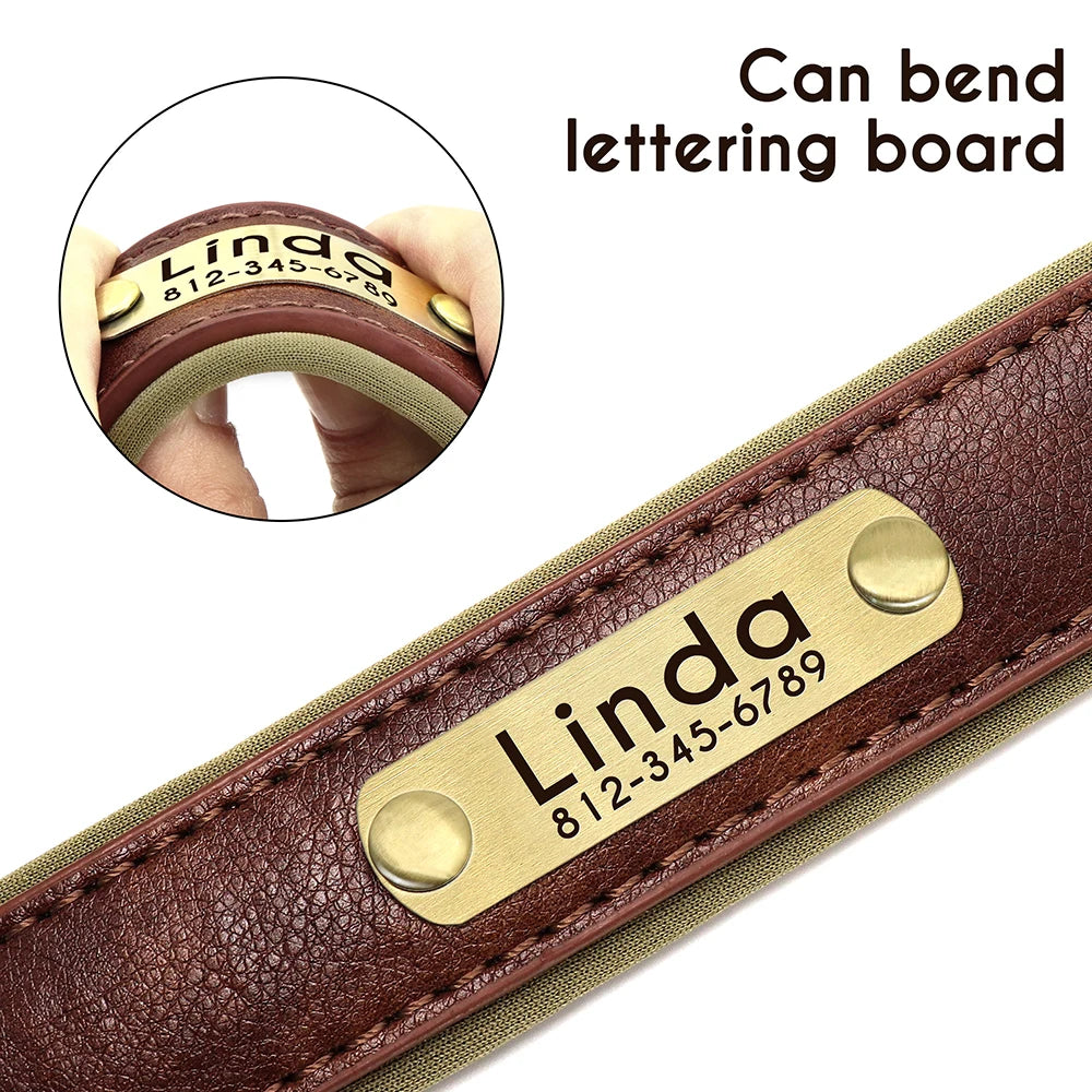 PawTag® – Personalized Leather Collar (Free Engraving) - Vista 13 del producto