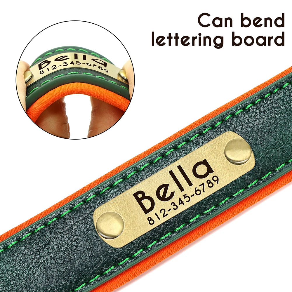 PawTag® – Personalized Leather Collar (Free Engraving) - Vista 4 del producto