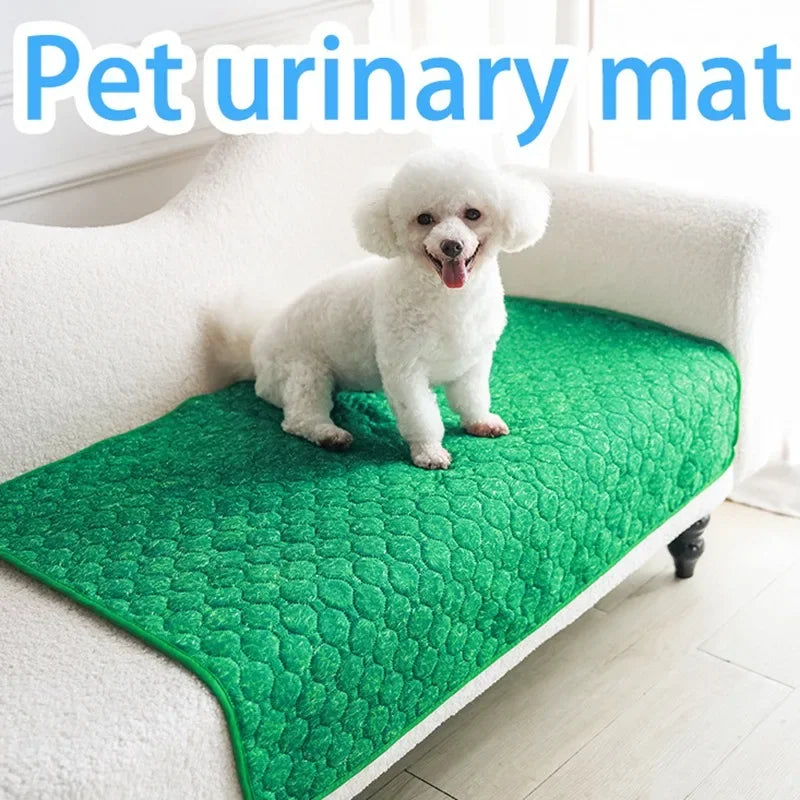 DryPaws® – Washable Absorbent Dog Pee Pad - Vista 6 del producto
