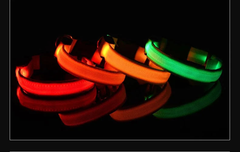GlowCollar® – LED Nylon Dog Collar - Vista 15 del producto