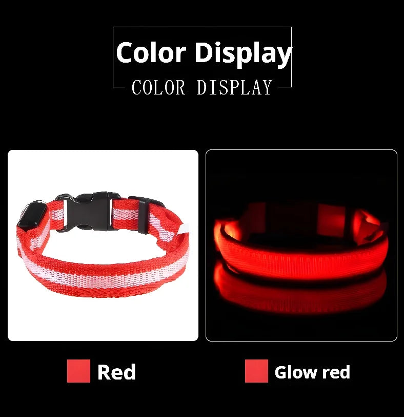GlowCollar® – LED Nylon Dog Collar - Vista 8 del producto