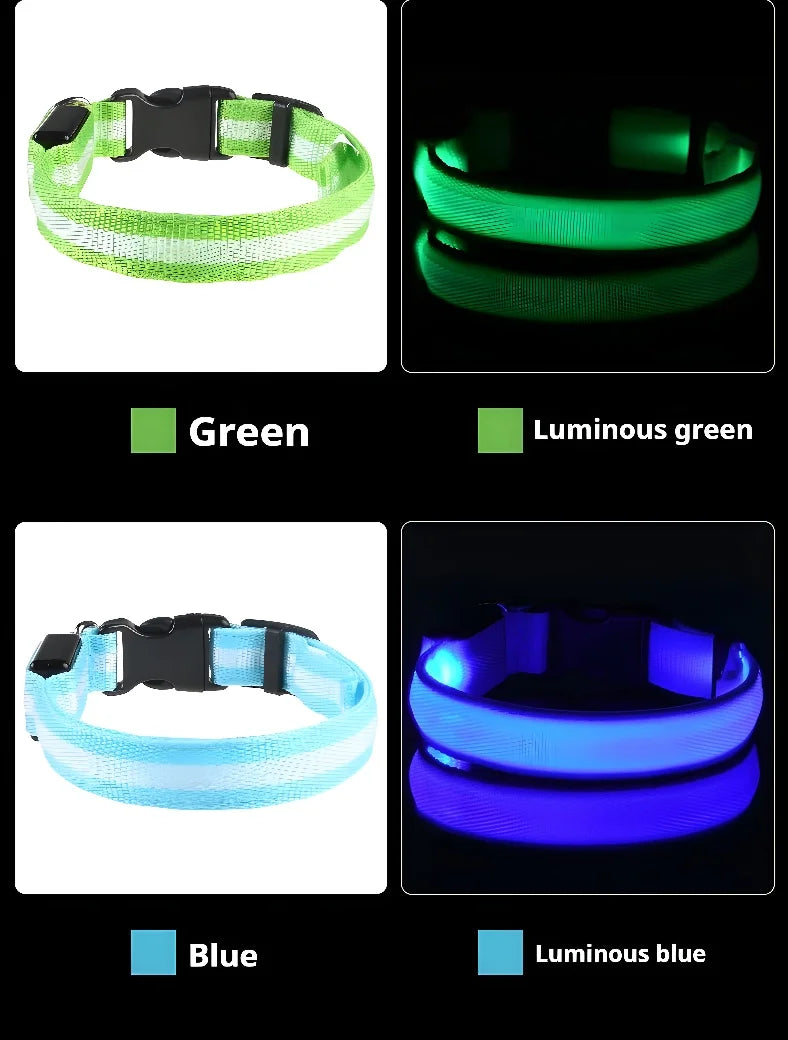 GlowCollar® – LED Nylon Dog Collar - Vista 10 del producto