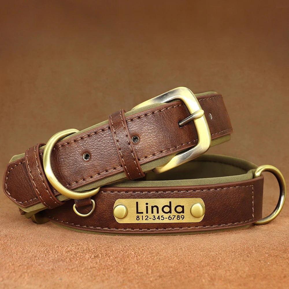 PawTag® – Personalized Leather Collar (Free Engraving) - Vista 7 del producto