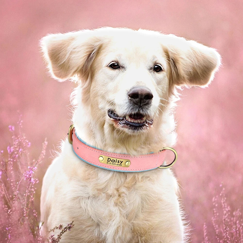 PawTag® – Personalized Leather Collar (Free Engraving) - Vista 19 del producto