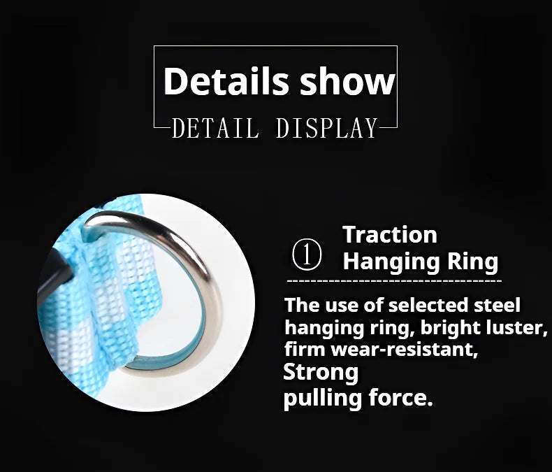 GlowCollar® – LED Nylon Dog Collar - Vista 5 del producto