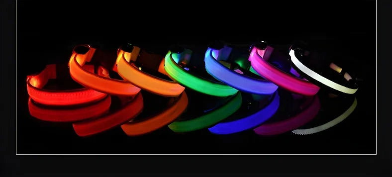GlowCollar® – LED Nylon Dog Collar - Vista 13 del producto