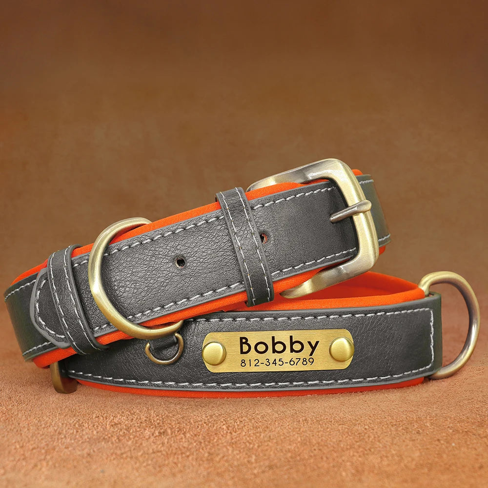 PawTag® – Personalized Leather Collar (Free Engraving) - Vista 8 del producto