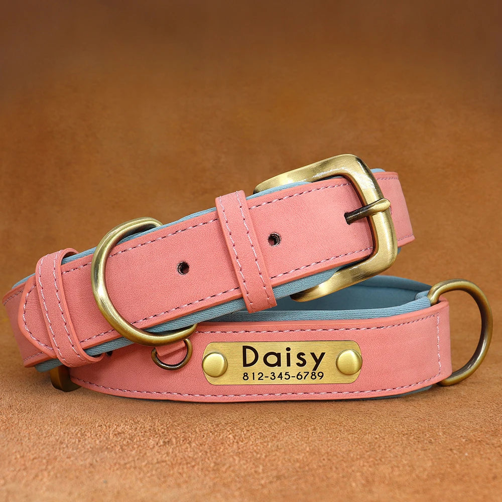 PawTag® – Personalized Leather Collar (Free Engraving) - Vista 11 del producto