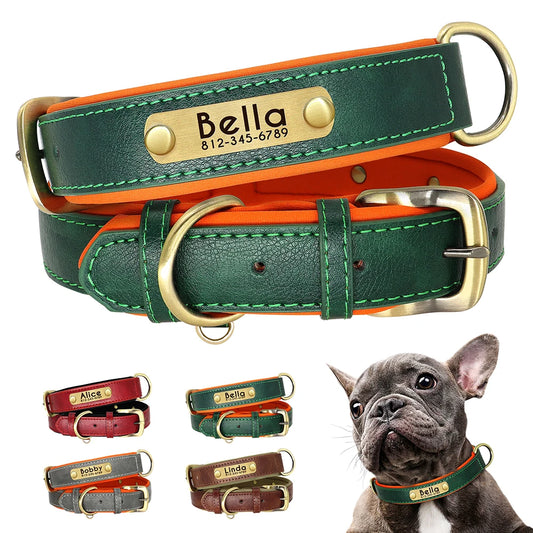 PawTag® – Personalized Leather Collar (Free Engraving) - Vista principal del producto