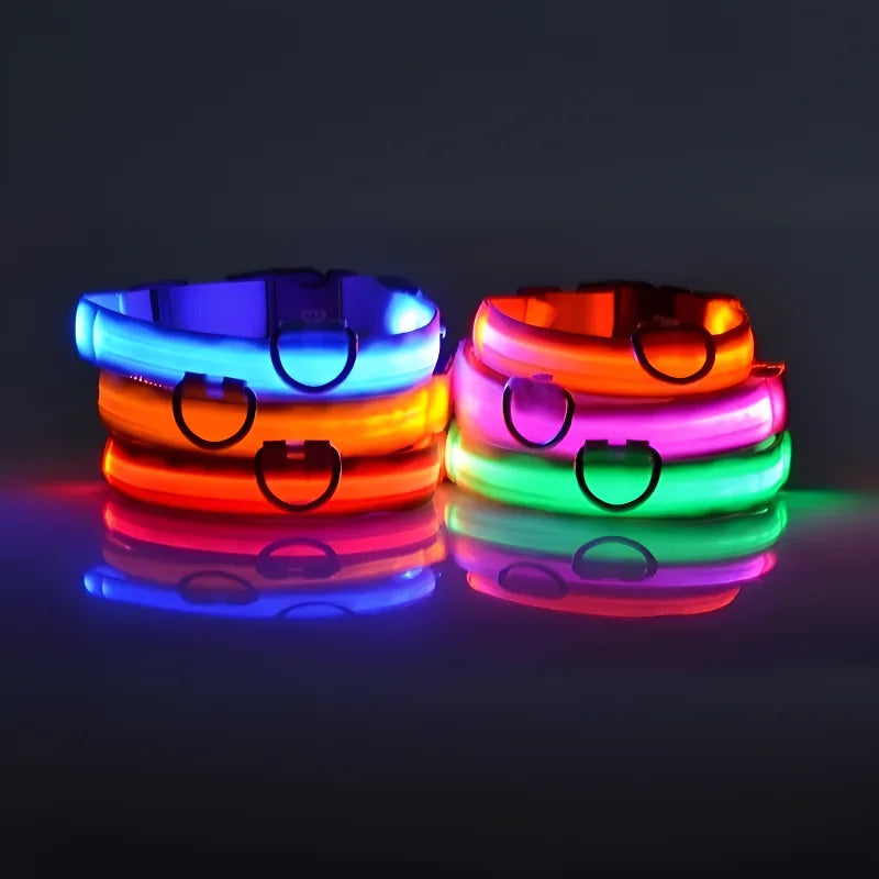 GlowCollar® – LED Nylon Dog Collar - Vista 2 del producto