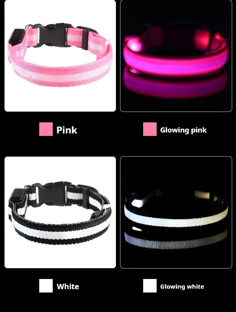GlowCollar® – LED Nylon Dog Collar - Vista 11 del producto