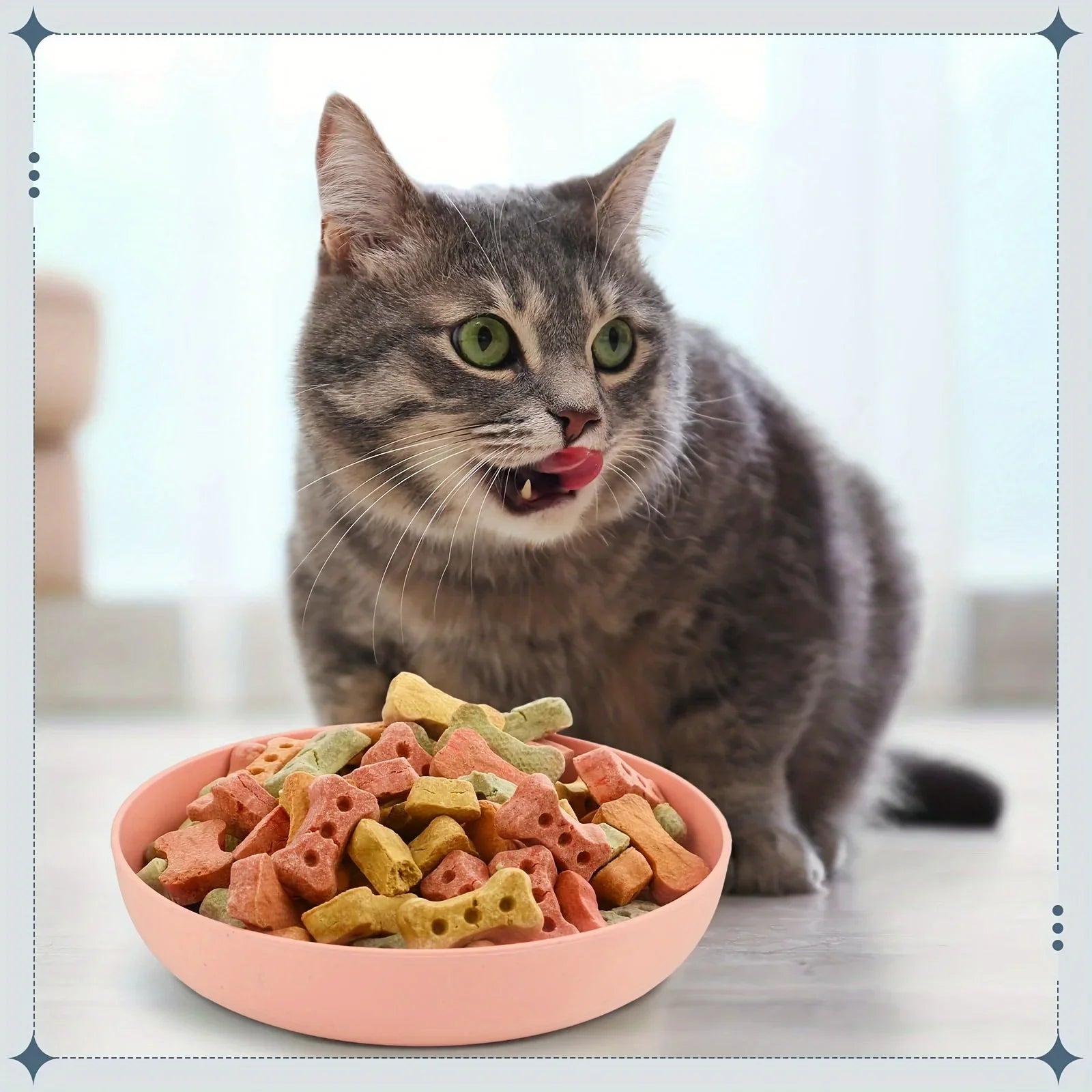 PurrFeast® – Wide Shallow Cat Food & - Vista 3 del producto