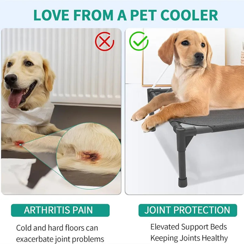 Elevated Pet Bed® – Comfort & Support for Pets - Vista 2 del producto