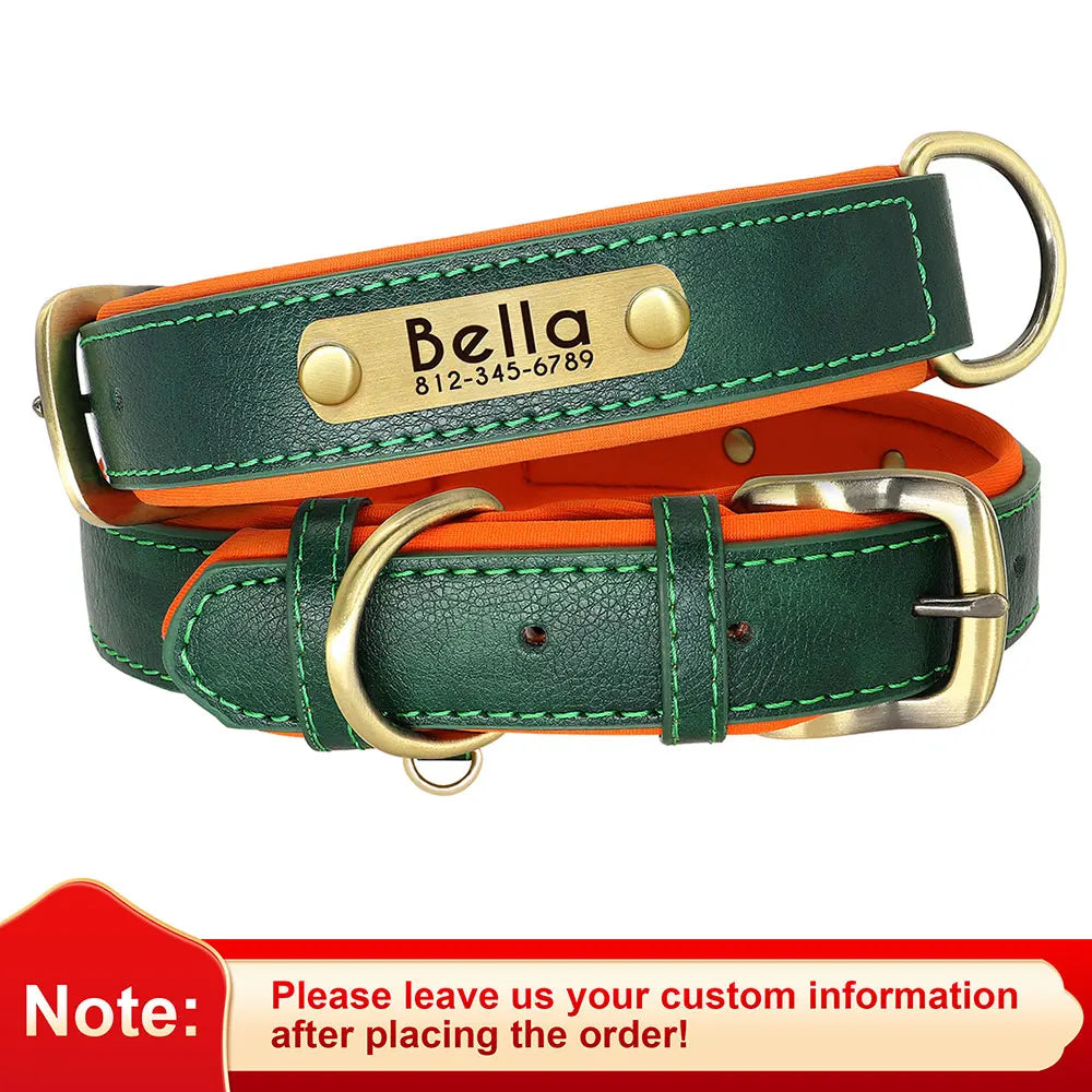 PawTag® – Personalized Leather Collar (Free Engraving) - Vista 23 del producto