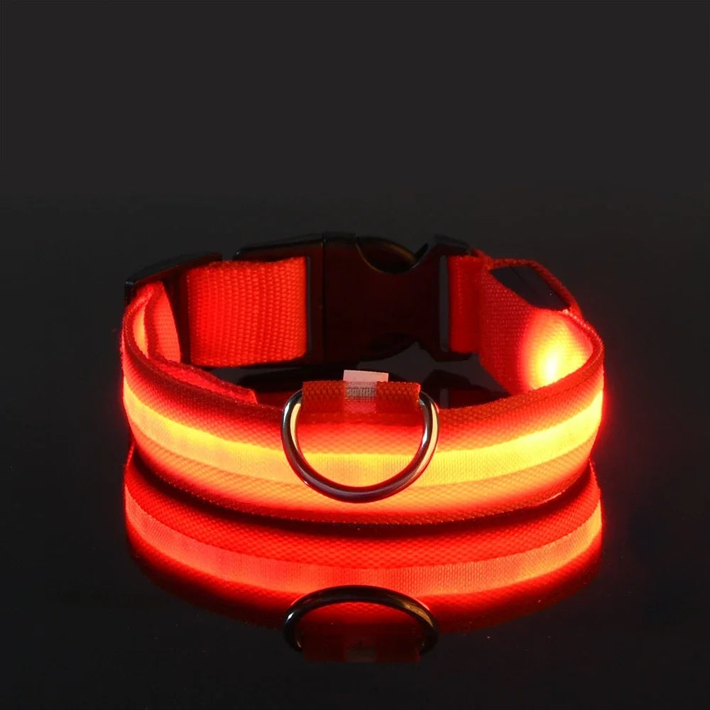 GlowCollar® – LED Nylon Dog Collar - Vista 24 del producto