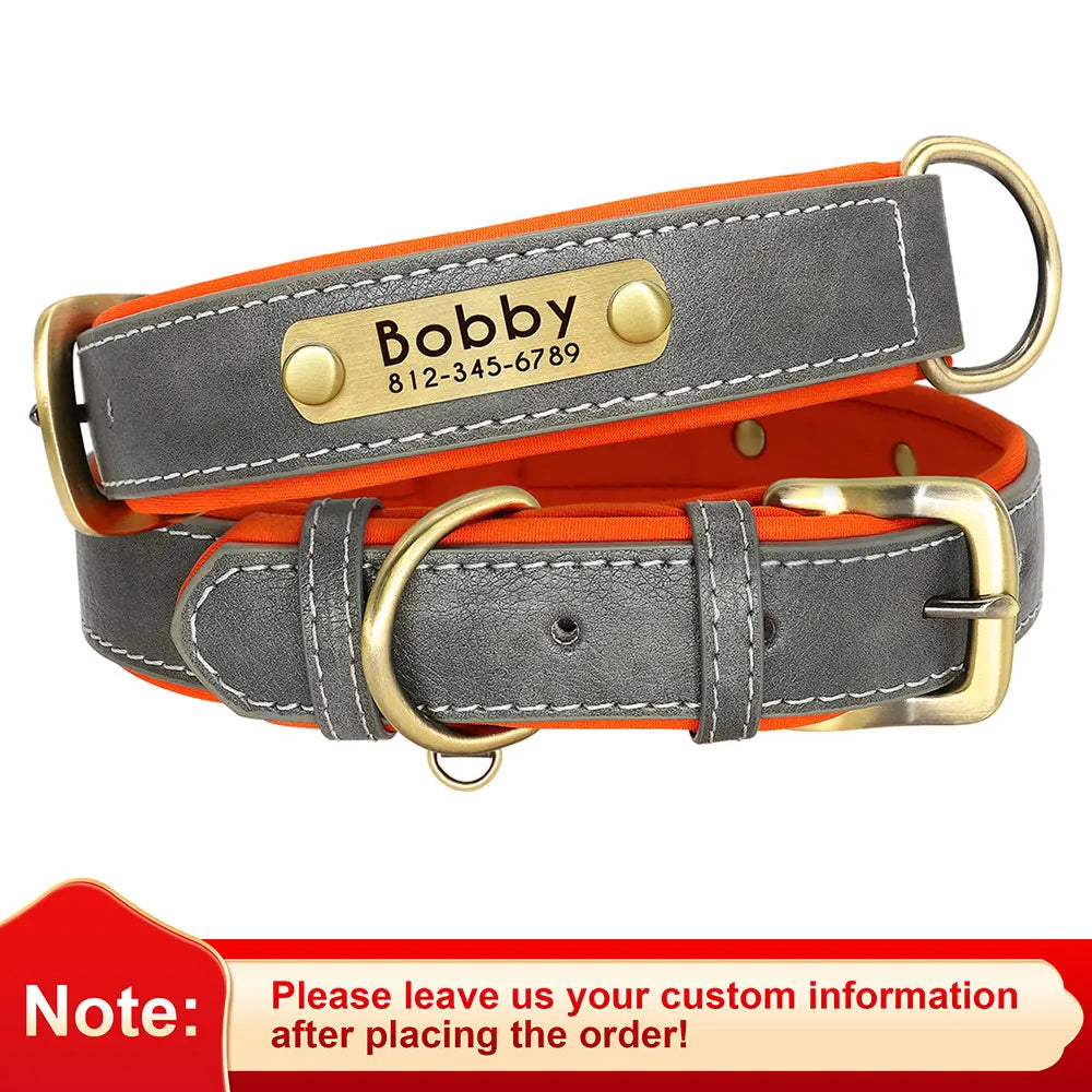 PawTag® – Personalized Leather Collar (Free Engraving) - Vista 21 del producto