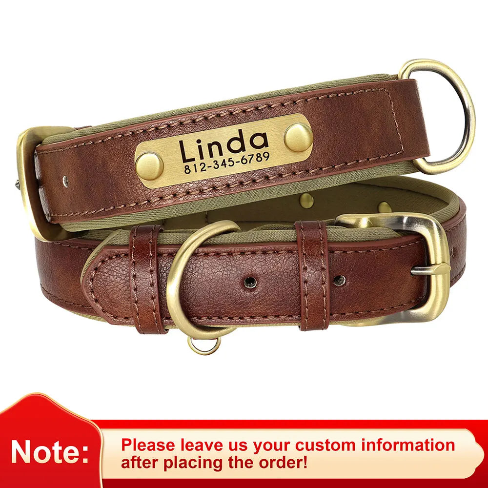 PawTag® – Personalized Leather Collar (Free Engraving) - Vista 20 del producto