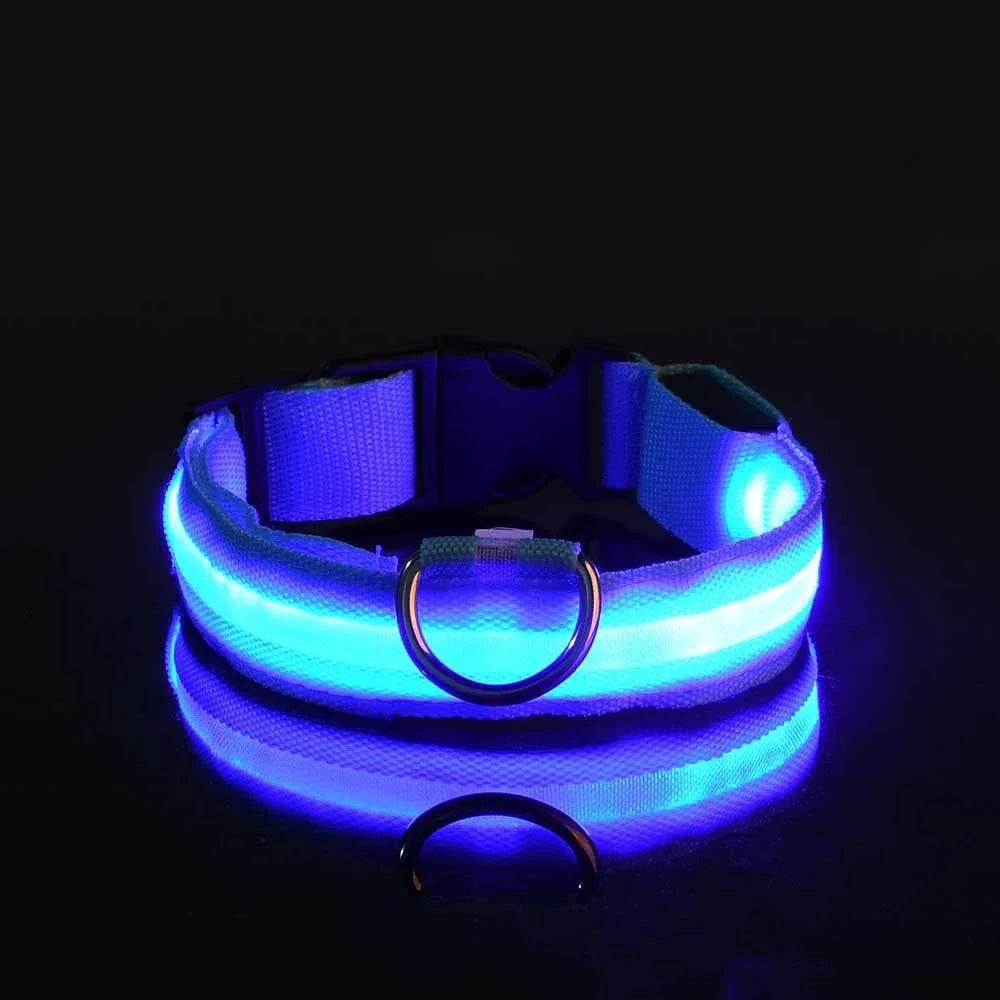 GlowCollar® – LED Nylon Dog Collar - Vista 23 del producto