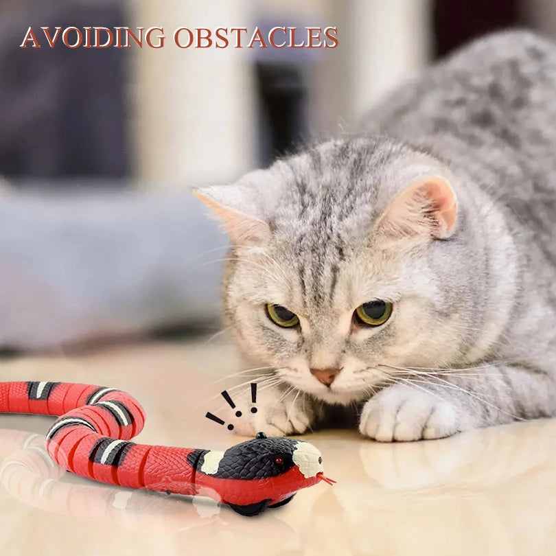 RolliPlay® – Interactive Automatic Rolling Pet Ball - Vista 20 del producto