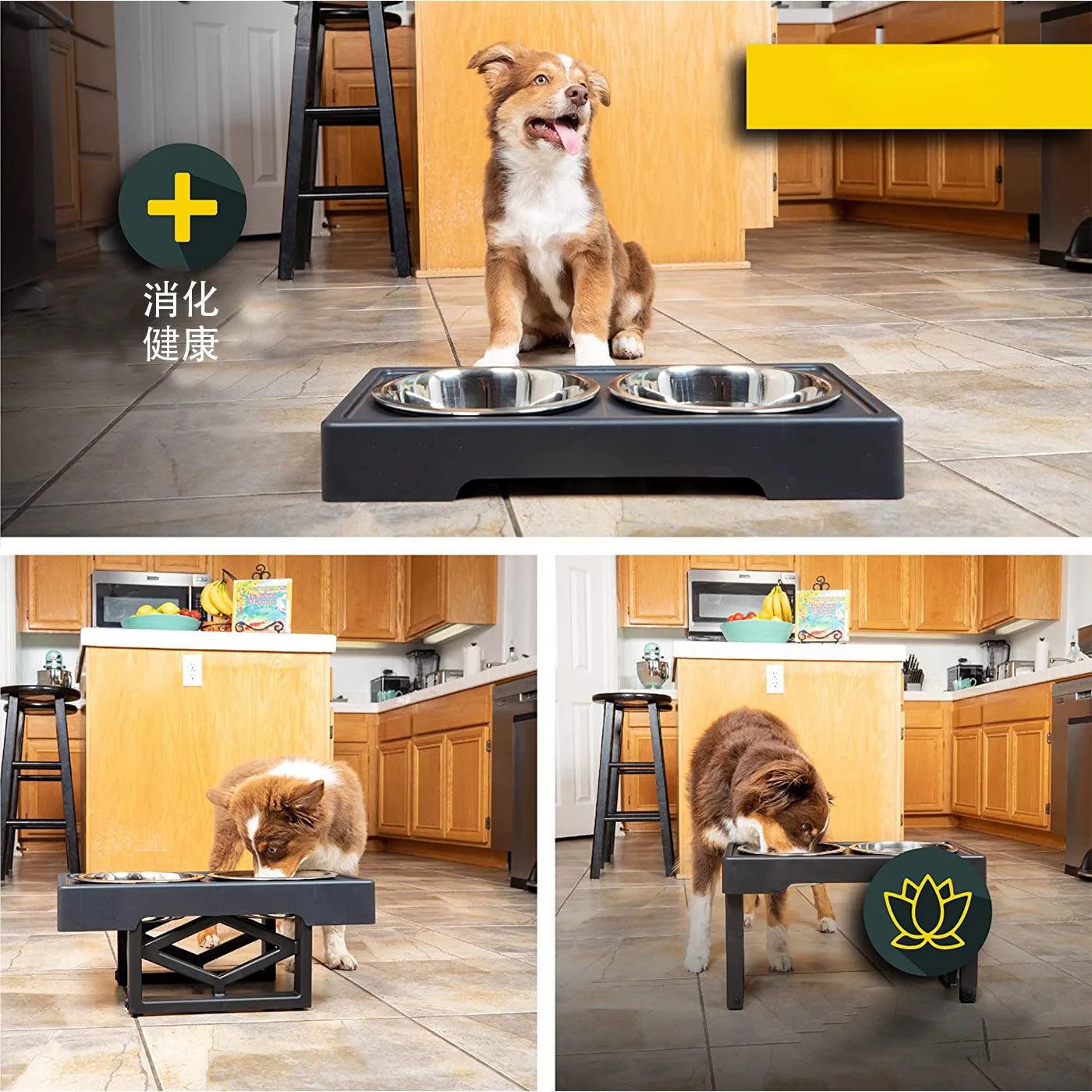 PawElevate® – Elevated Dog Bowls - Vista 8 del producto