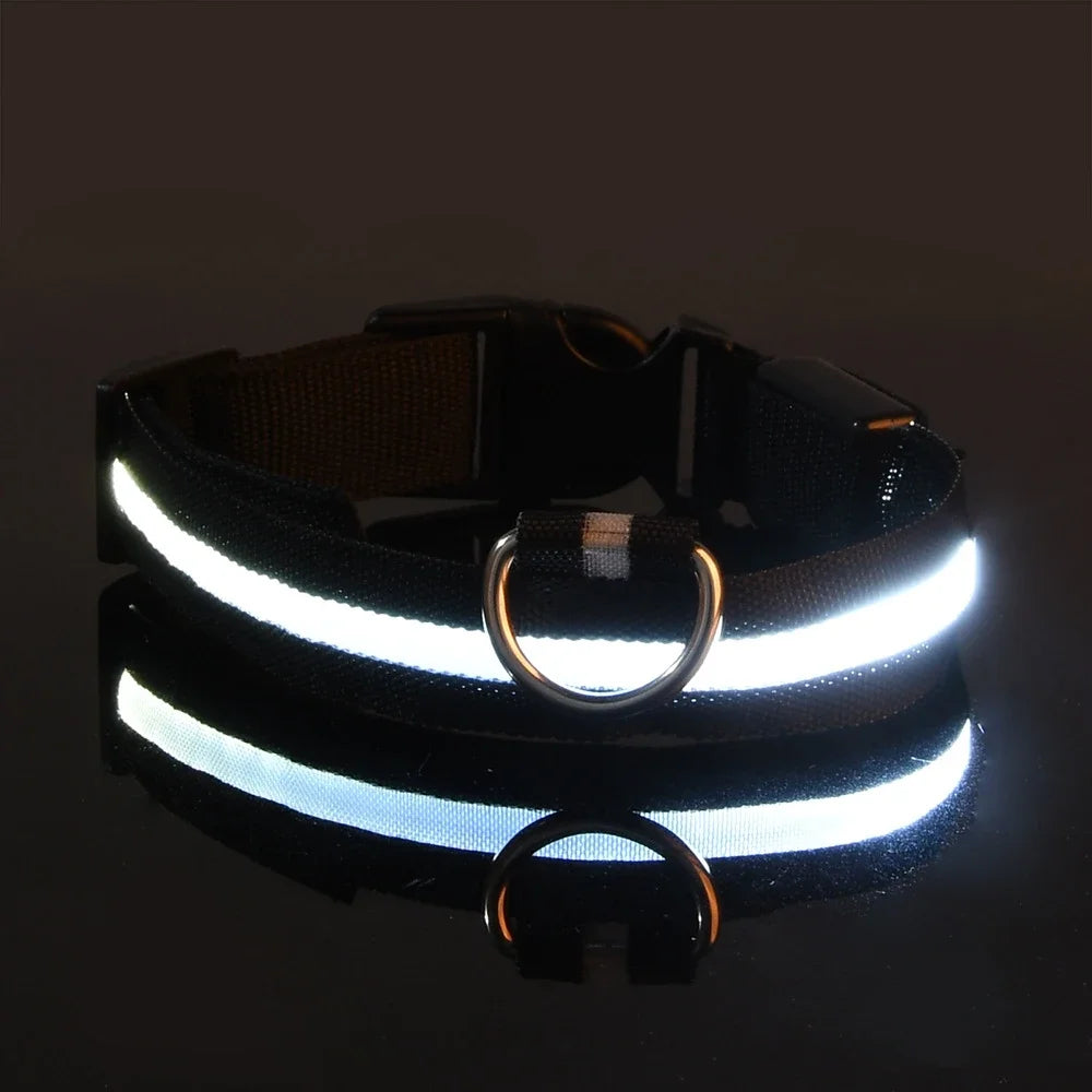 GlowCollar® – LED Nylon Dog Collar - Vista 19 del producto
