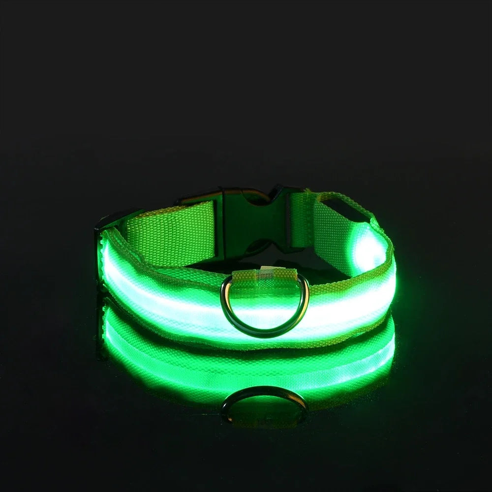 GlowCollar® – LED Nylon Dog Collar - Vista 18 del producto