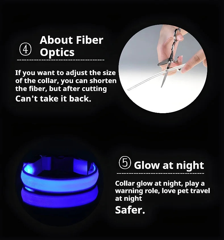 GlowCollar® – LED Nylon Dog Collar - Vista 6 del producto