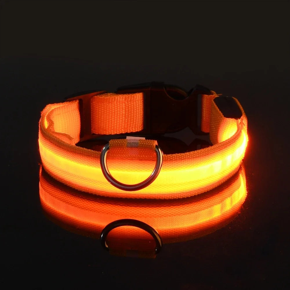 GlowCollar® – LED Nylon Dog Collar - Vista 20 del producto