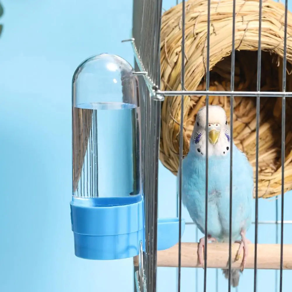 AviFlow® – Automatic Bird Waterer - Vista 2 del producto