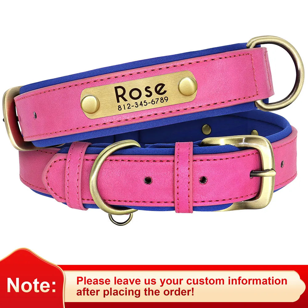 PawTag® – Personalized Leather Collar (Free Engraving) - Vista 25 del producto