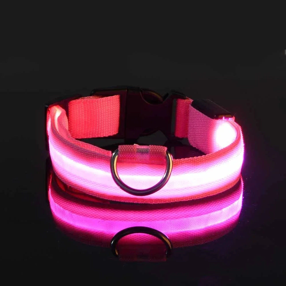 GlowCollar® – LED Nylon Dog Collar - Vista 21 del producto