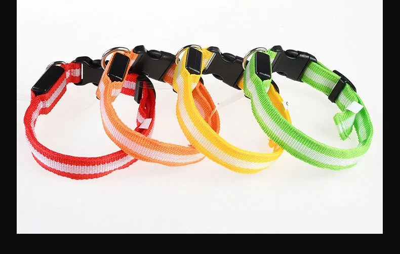 GlowCollar® – LED Nylon Dog Collar - Vista 17 del producto