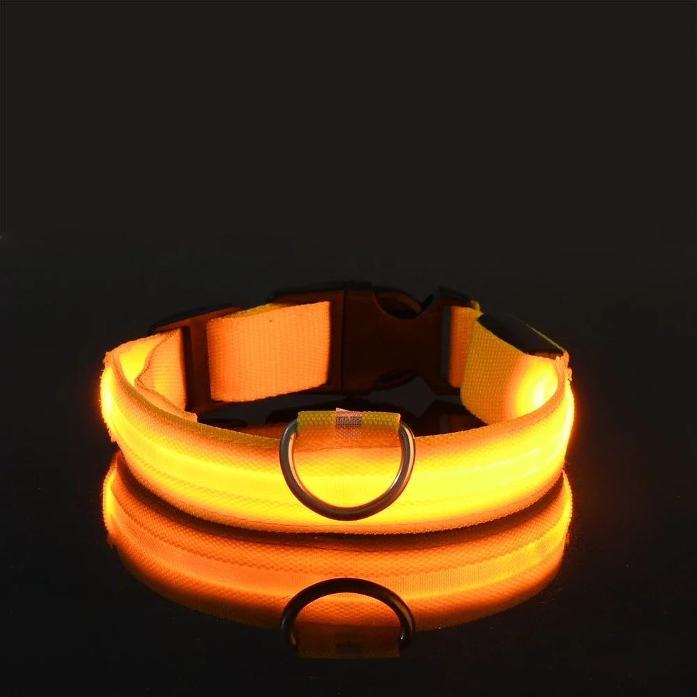 GlowCollar® – LED Nylon Dog Collar - Vista 22 del producto