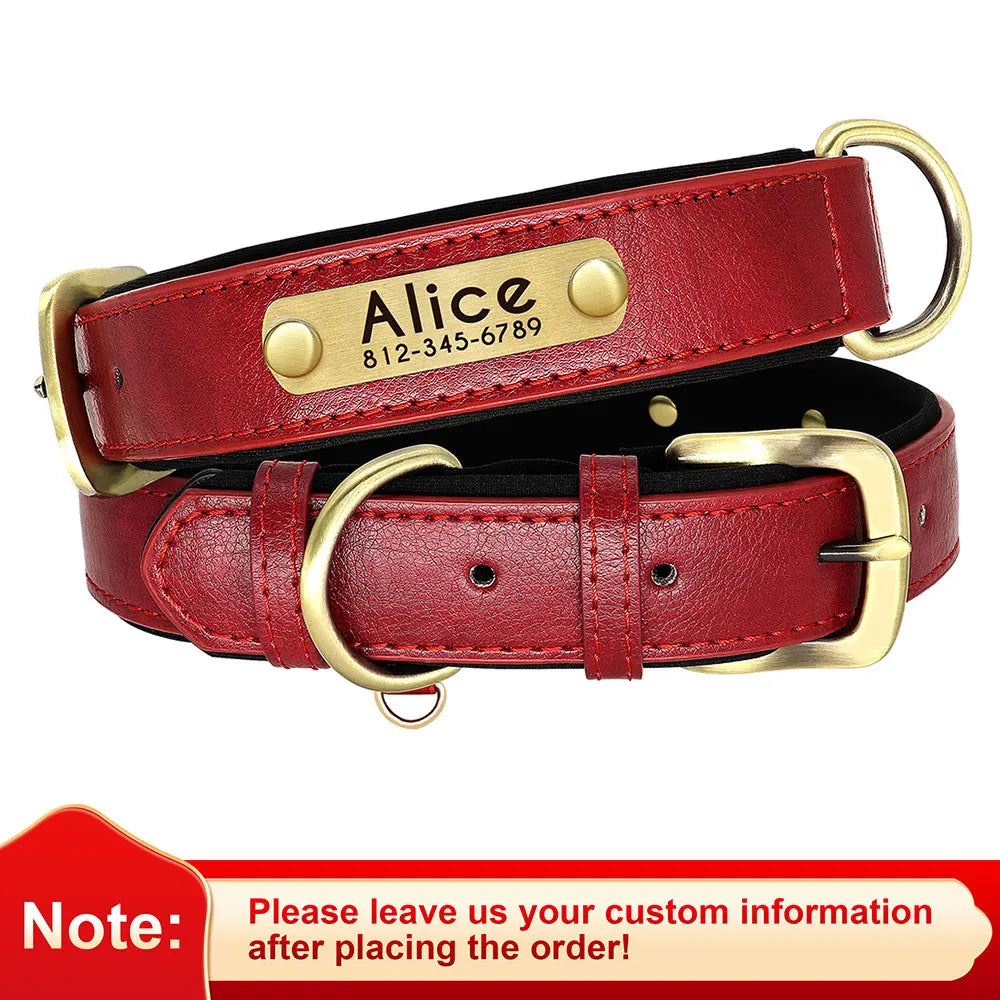 PawTag® – Personalized Leather Collar (Free Engraving) - Vista 22 del producto