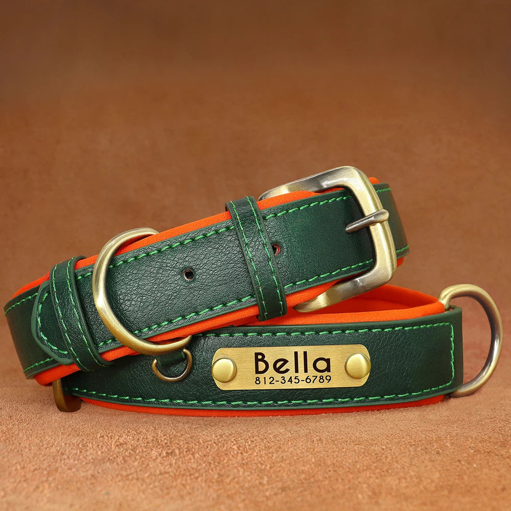 PawTag® – Personalized Leather Collar (Free Engraving) - Vista 9 del producto